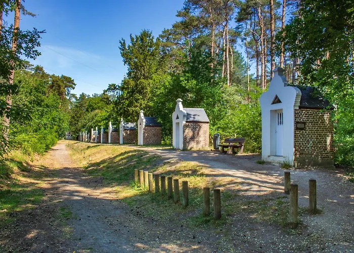 De Wilden Ezel Bed and Breakfast Mol