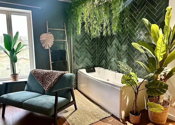 Jungle Fever , Evasion Nature Et Balneo Boulogne-sur-Mer