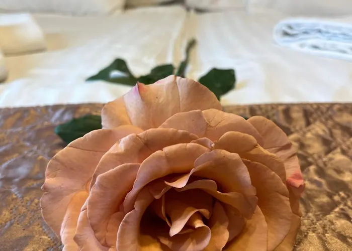 Hotel Rose City Boedapest