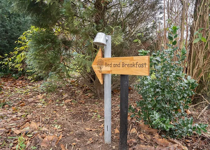 Bed&Breakfast Bij ons in het bos Bergen op Zoom