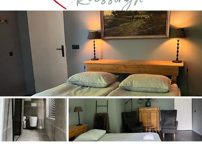 B&B Hartje Drenthe Westerbork