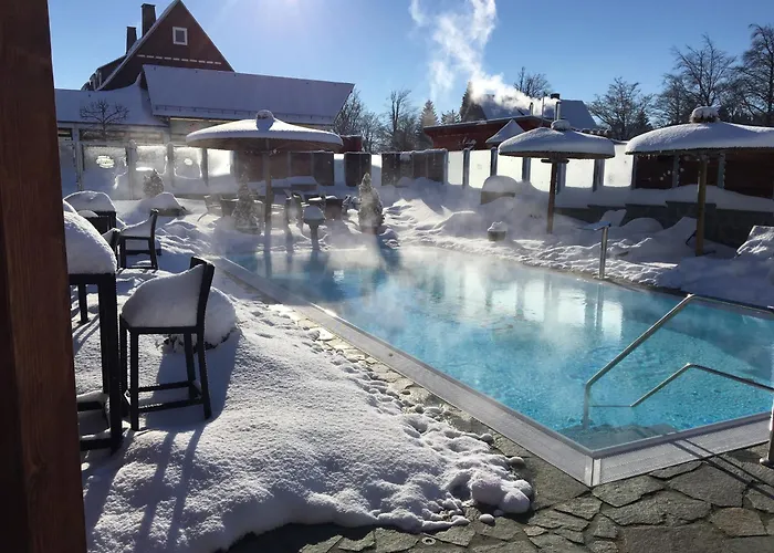 Vakantiehotel Der Brabander Winterberg