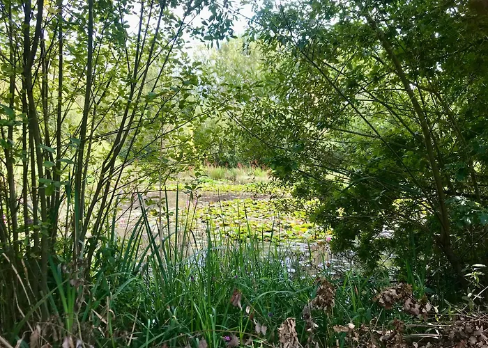 Eikenburg B&B Eindhoven