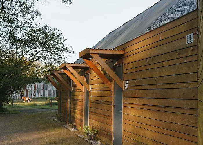 B&B Johannesberg Oldebroek
