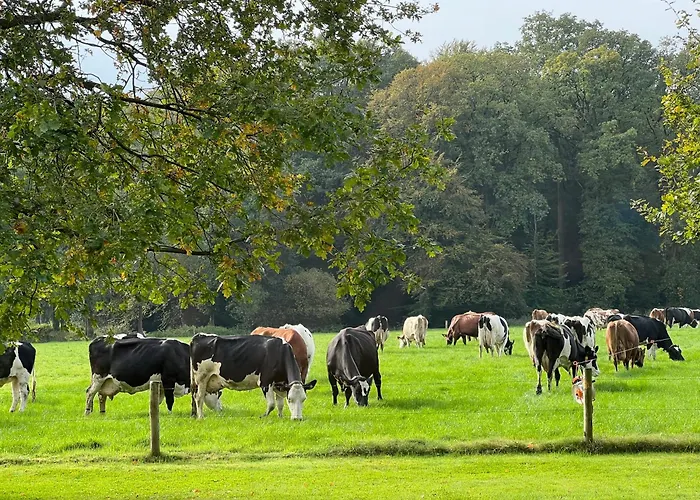 B&B Hof van Heden Enschede