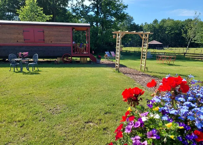 Pibo B&B Babbita Hasselt