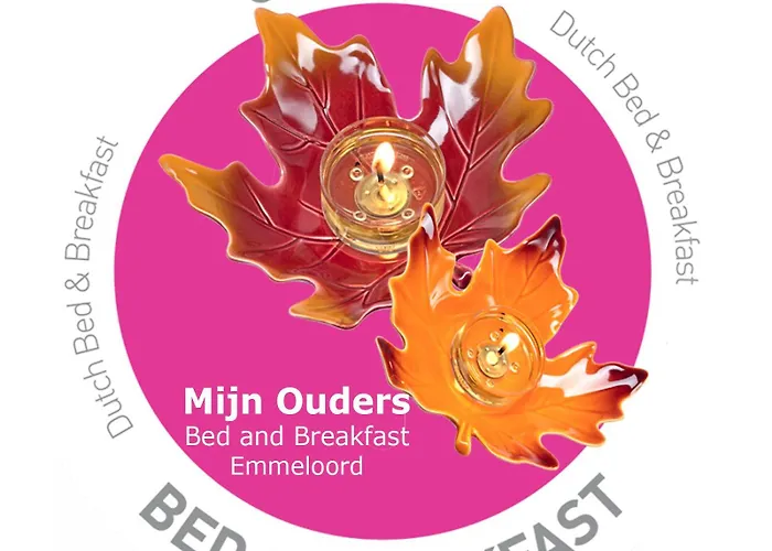 Mijn Ouders Bed&Breakfast Emmeloord