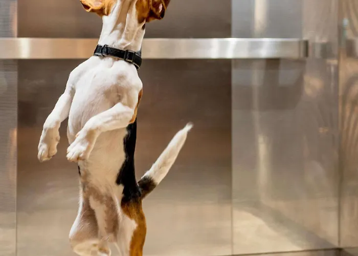 Ibis Liege Centre Opera Hotel