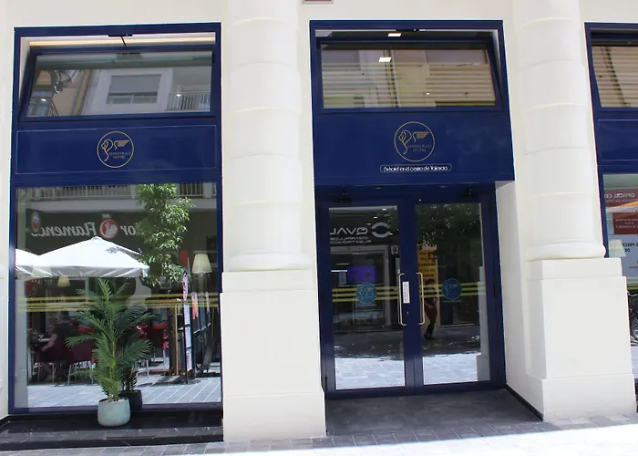 Venecia Plaza Centro Hotel Valencia