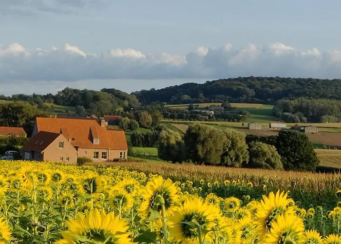 B&B De Zavelaar Heuvelland