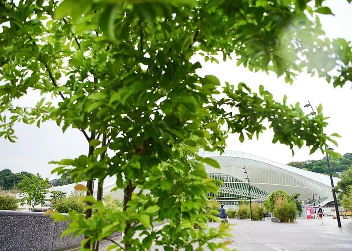 Hotel De La Couronne Luik