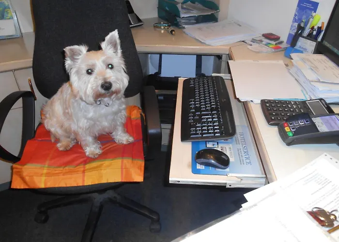 Moselromantik Hotel Weissmuehle Cochem