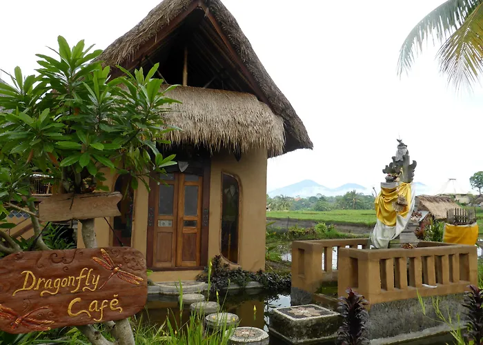 Dragonfly Village Ubud