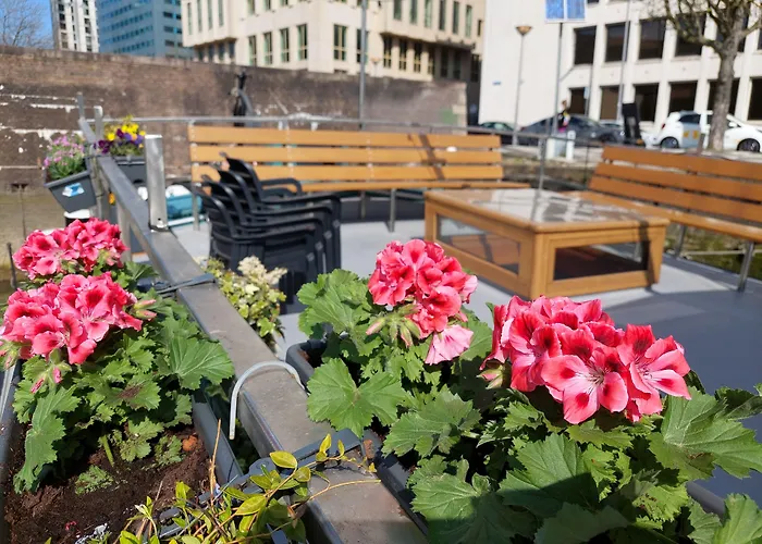 Boat Rooms On Water B&B Rotterdam