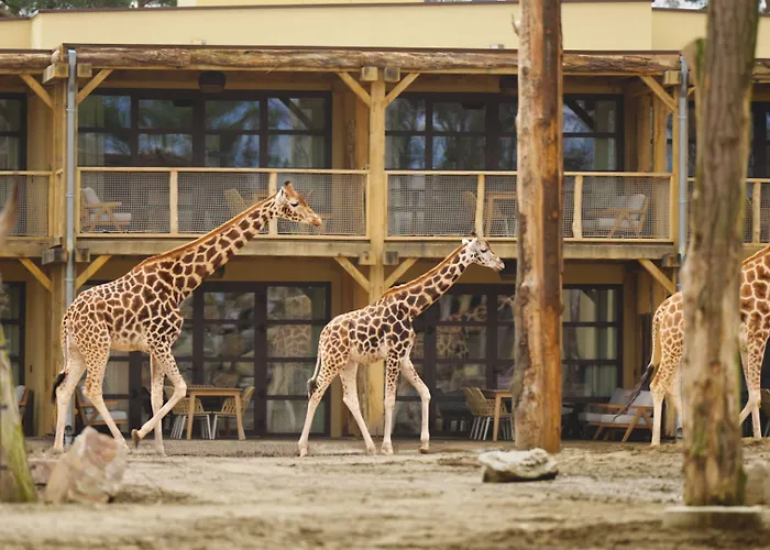 Safari Resort Beekse Bergen Hilvarenbeek