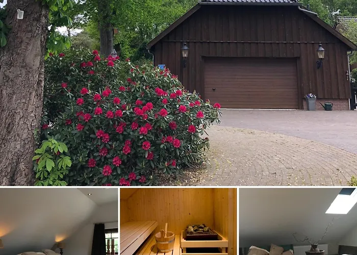 B&B De Drentse Es Emmen