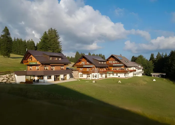 Cafe-Restaurant-Gaestehaus Waldvogel Feldberg 