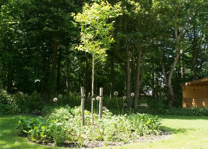 Appartement Zuiderstrand Zoutelande