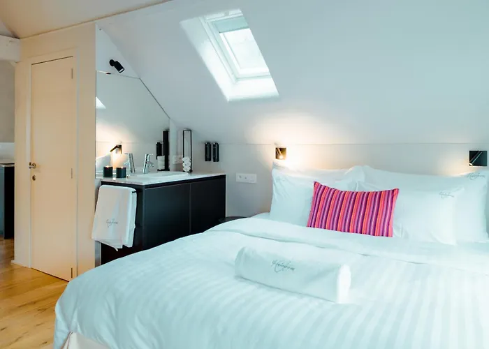 The House Of Edward By Domani Hotels Gent