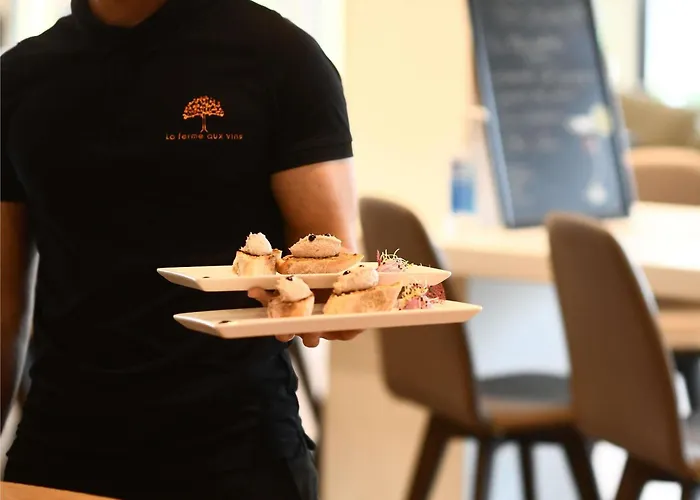 Ibis Beaune La Ferme Aux Vins