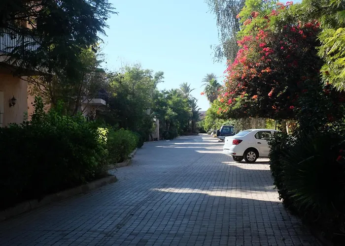 Riad Villa Amsterdam Palmeraie Marrakesh