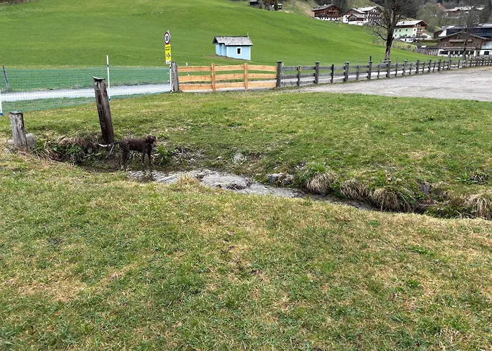Landhaus St Georg Inklusive Jokercard Saalbach-Hinterglemm