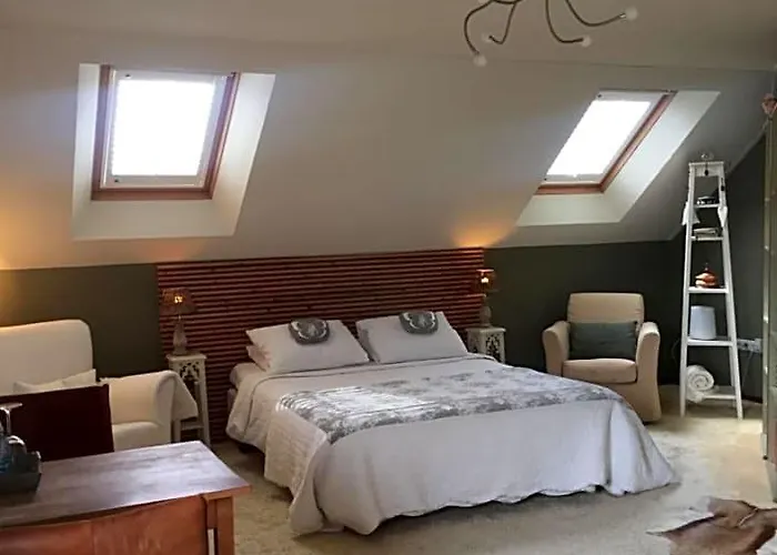 B&B De Koraal Emmen