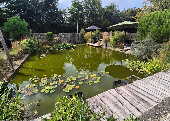 Het Pauwtje Bed and Breakfast Zoutelande