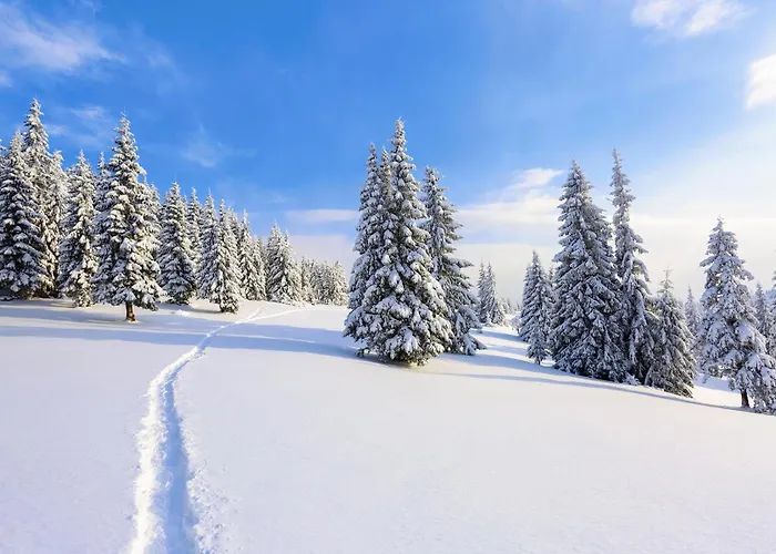 Haus Roswitha Hotel Flachau