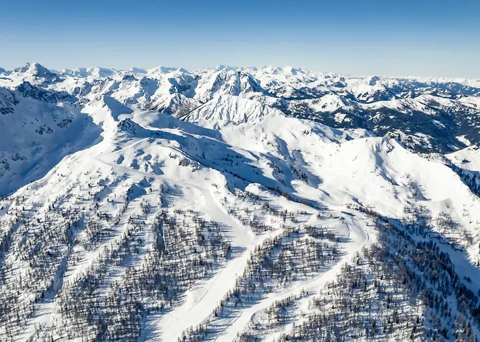 Hotel Matteo Flachau