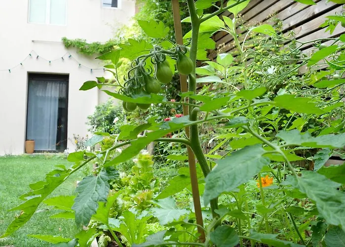 La Campagne A Paris B&B