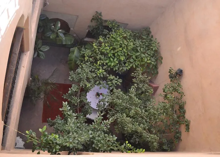 Riad Hôtel Belleville Marrakech Marrakesh