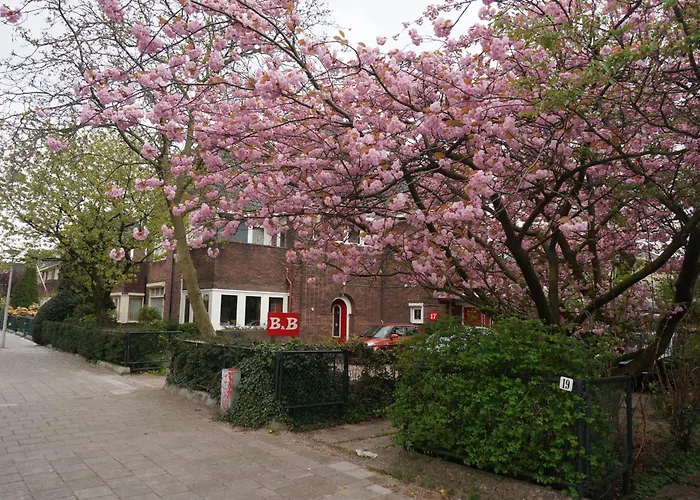 Xaviera'S Bed And Breakfast Amsterdam