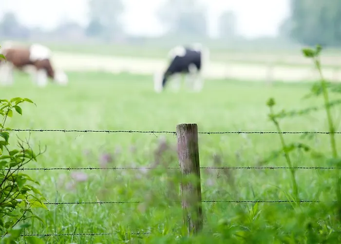 B&B De Lorijn Duiven
